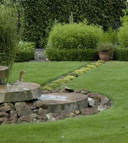 Der Brunnen im Garten – nicht nur beim Froschkönig beliebt