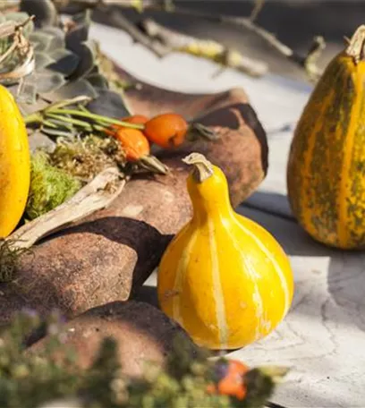 Es wird bunt! Herbst-Deko im Haus