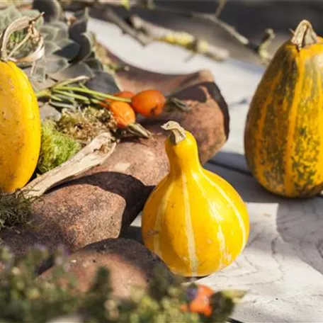 Es wird bunt! Herbst-Deko im Haus