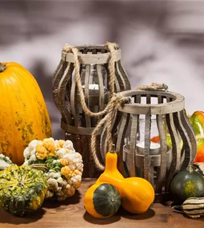 Es wird bunt! Herbst-Deko im Haus