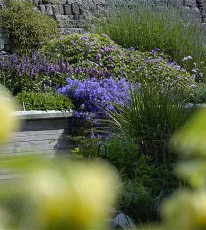 Die Terrasse als Garten - eine grüne Oase