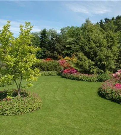 Bäume pflanzen – so wird der Garten groß