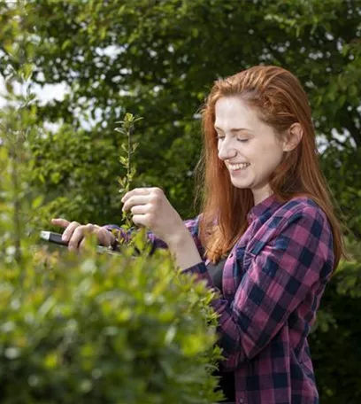 Diese Arbeiten sind jetzt im Garten noch nötig