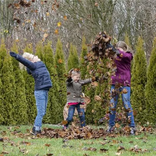 Spiel, Spaß und Sport: Der Garten als grünes Fitness-Studio