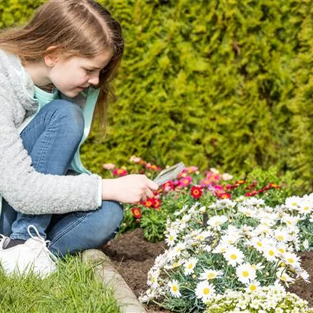 Vorsicht Garten – sichere Pflanzen für Kinder und Tiere