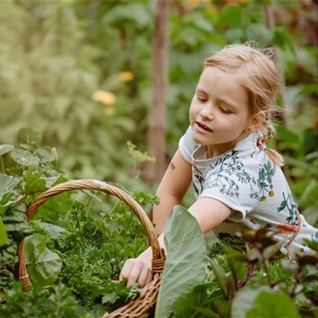 Jetzt kann geerntet werden! Kinder spielerisch einbeziehen