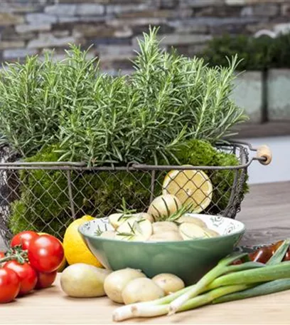 Kochen mit Kräutern aus dem Garten