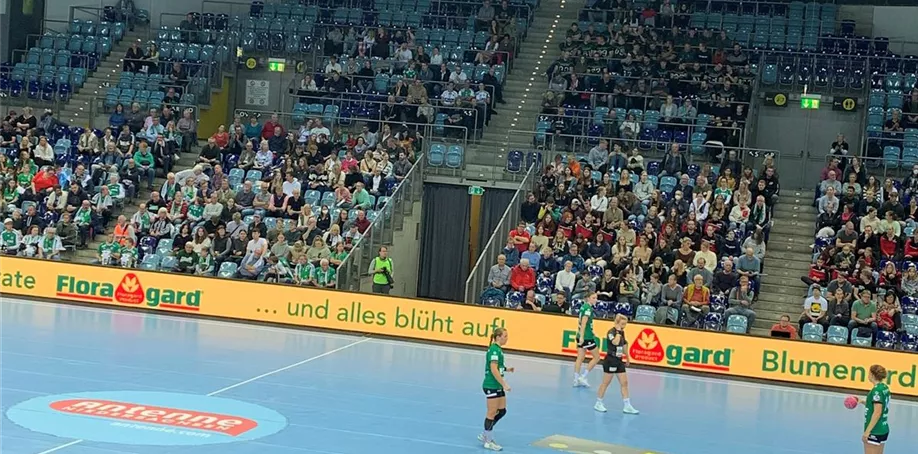 Handball 2022.4.jpg