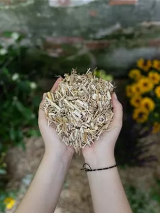 Floragard_Beete schützen mit Mulch.jpg