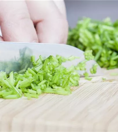 Kochen mit Kräutern aus dem Garten