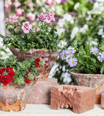 Der ganz große Stil im Garten - eine Anleitung für Menschen mit Liebe zu Effekten