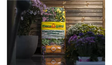 Floragard