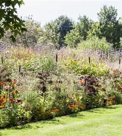 Pflegeleichter Garten: Wohlfühloase trotz wenig Zeit