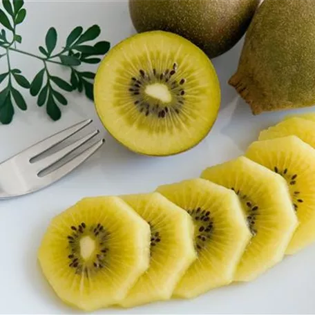 Kiwi 'Golden Kiwi'