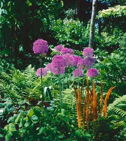 Cottage Garden: Englisches Flair im eigenen Garten